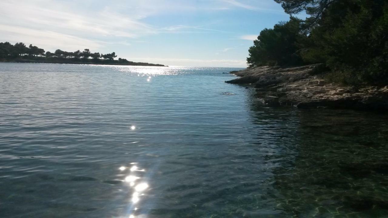 Apartmán Luli *